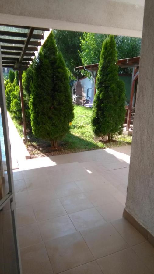 Vila Stefan Pescarusului Costineşti Exterior foto