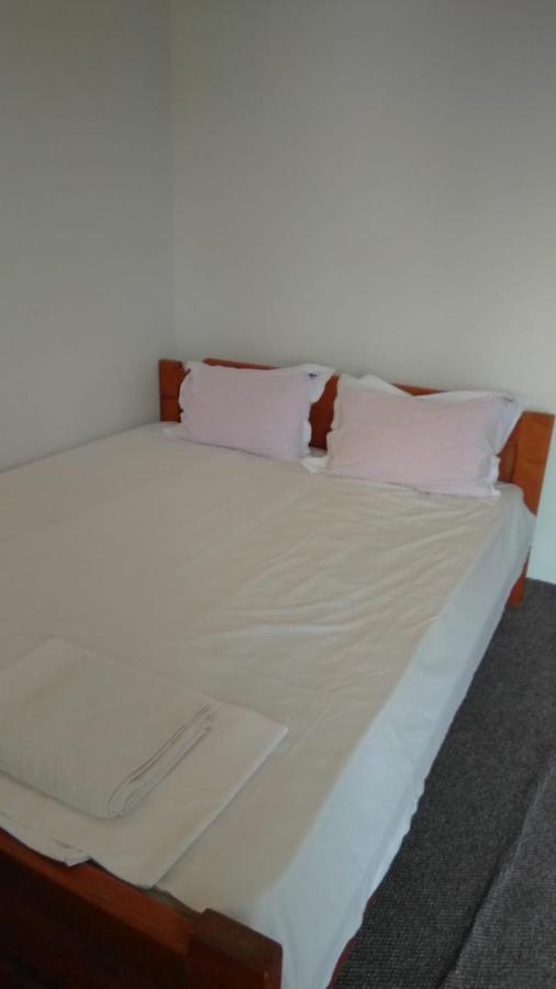 Vila Stefan Pescarusului Costineşti Exterior foto