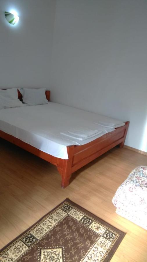Vila Stefan Pescarusului Costineşti Exterior foto